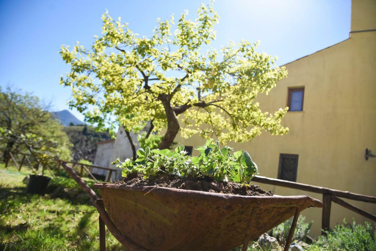 Il Giardino Di Julia B&B Tortora Exterior photo